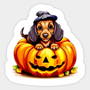 Dachshund Dog inside Pumpkin #2 Sticker